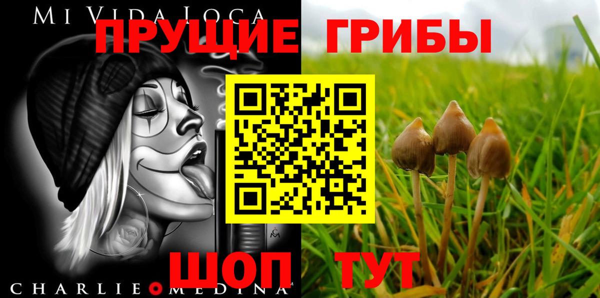 Псилоцибиновые грибы Magic Shrooms Энгельс
