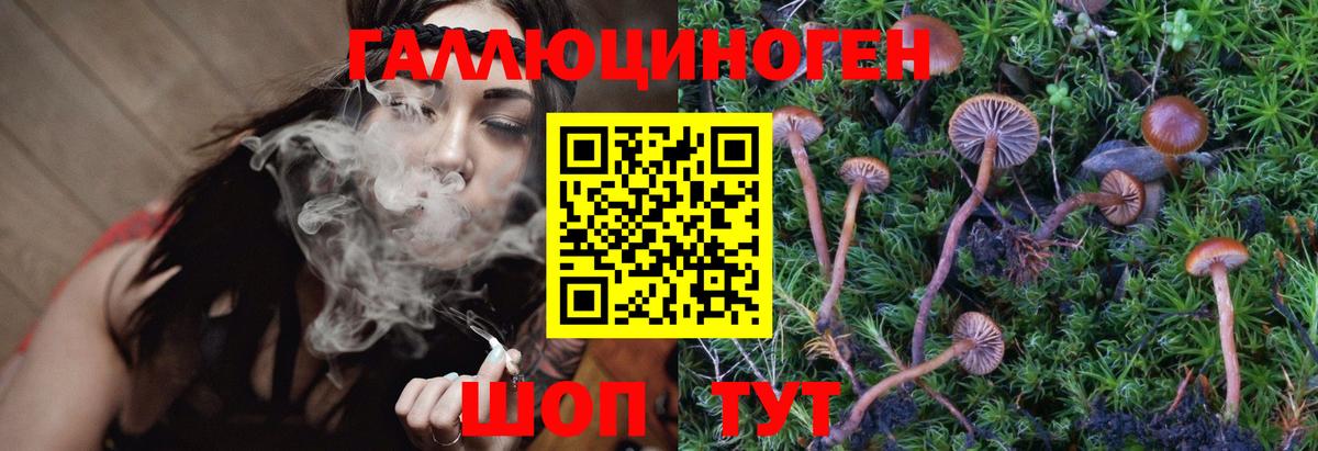 Галлюциногенные грибы Cubensis  Вход с VPN  Энгельс  Галлюциногенные грибы Magic Shrooms 